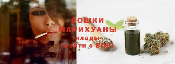 прущий лед Гусь-Хрустальный