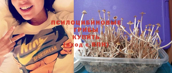 прущий лед Гусь-Хрустальный