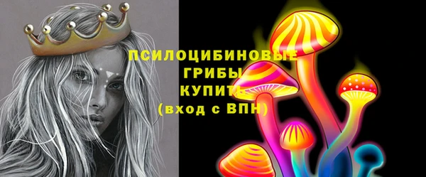 первитин Горняк